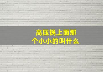 高压锅上面那个小小的叫什么