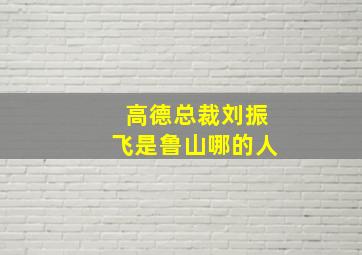 高德总裁刘振飞是鲁山哪的人