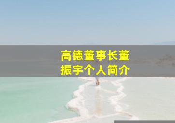 高德董事长董振宇个人简介