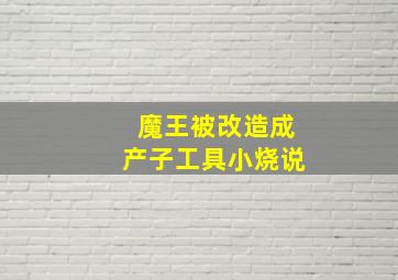 魔王被改造成产子工具小烧说