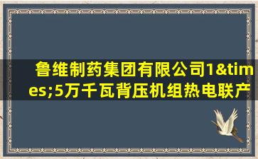 鲁维制药集团有限公司1×5万千瓦背压机组热电联产项目