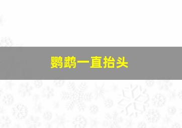 鹦鹉一直抬头