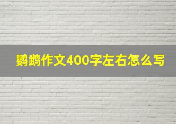 鹦鹉作文400字左右怎么写