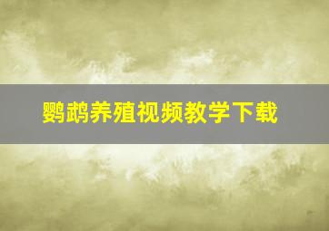 鹦鹉养殖视频教学下载