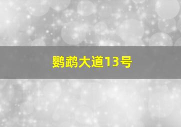 鹦鹉大道13号