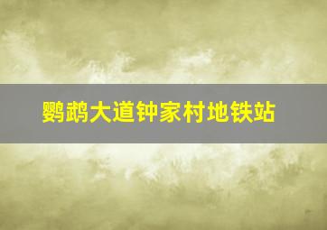 鹦鹉大道钟家村地铁站