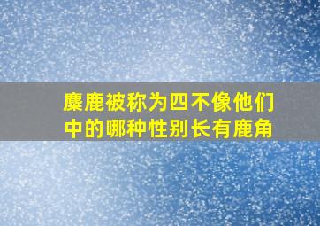 麋鹿被称为四不像他们中的哪种性别长有鹿角