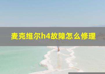 麦克维尔h4故障怎么修理