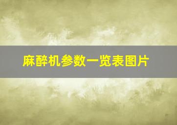 麻醉机参数一览表图片