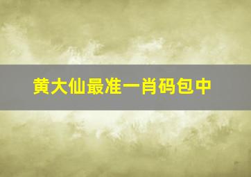 黄大仙最准一肖码包中