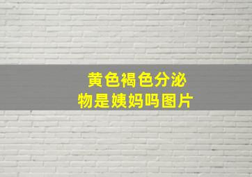 黄色褐色分泌物是姨妈吗图片