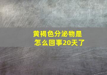 黄褐色分泌物是怎么回事20天了