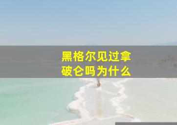 黑格尔见过拿破仑吗为什么