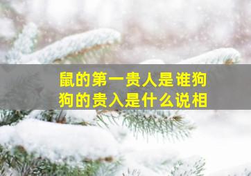 鼠的第一贵人是谁狗狗的贵入是什么说相